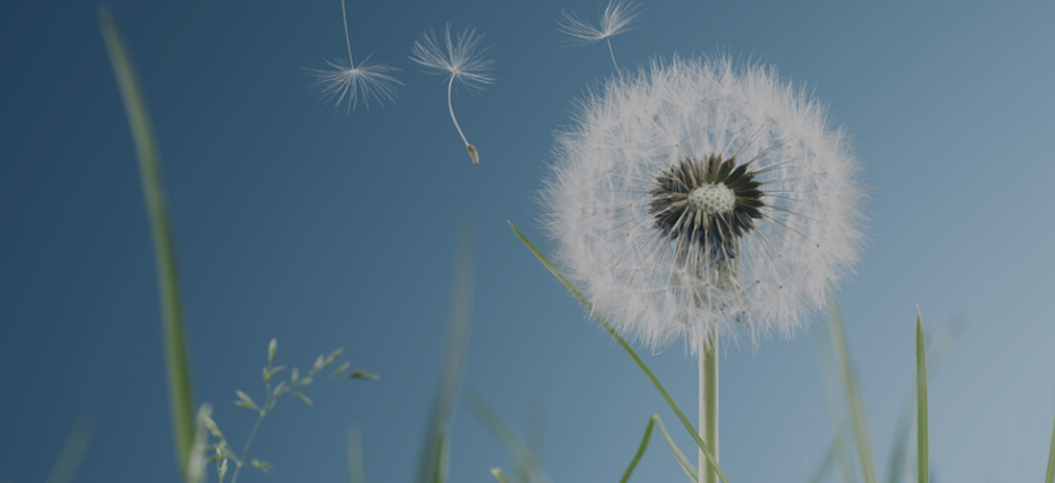 赢多多(中国区)官方网站入口