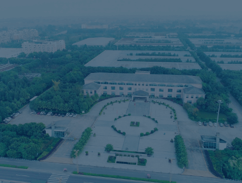 赢多多(中国区)官方网站入口